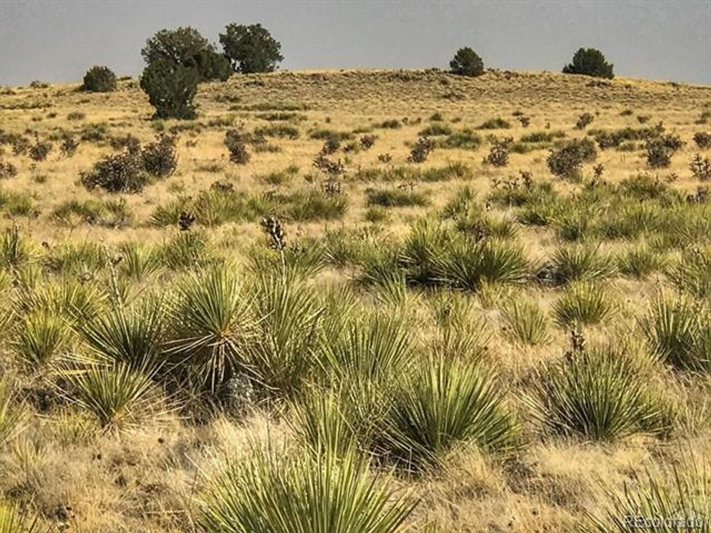 Image 3 of property listing at Lot 243 Turkey Ridge Ranch, Walsenburg, CO 81089