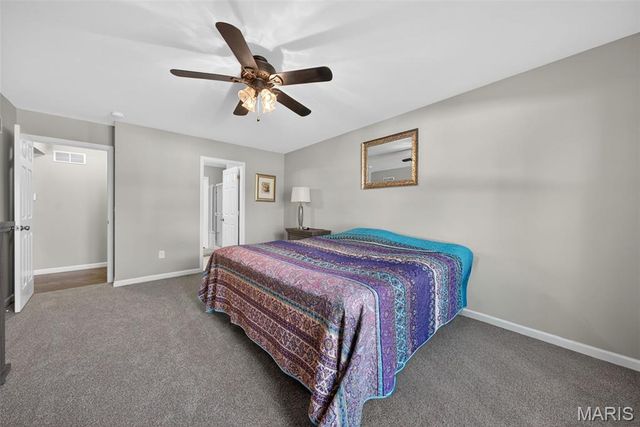 424 Wilmer Meadow Drive, Wentzville, MO 63385