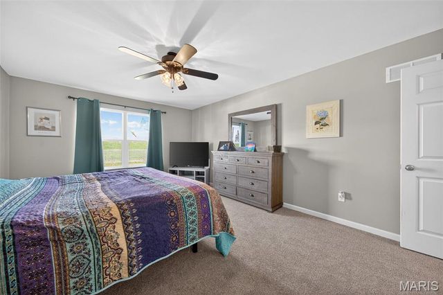 424 Wilmer Meadow Drive, Wentzville, MO 63385