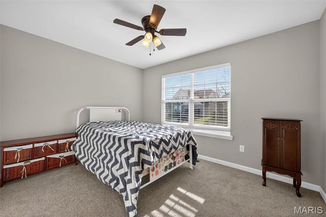 424 Wilmer Meadow Drive, Wentzville, MO 63385