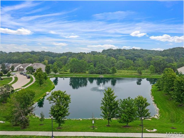 424 Wilmer Meadow Drive, Wentzville, MO 63385