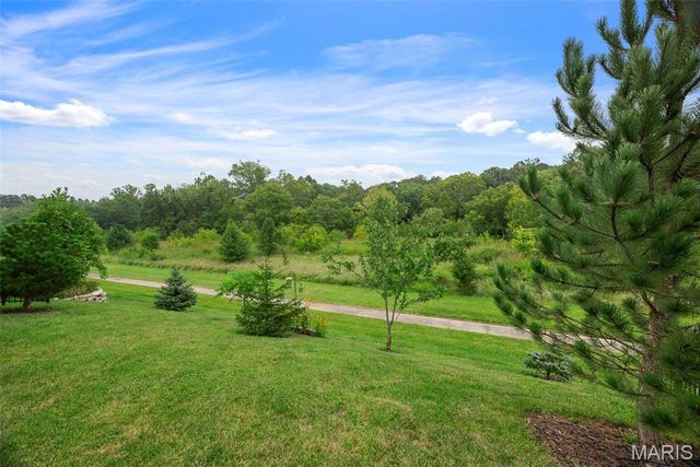 424 Wilmer Meadow Drive, Wentzville, MO 63385