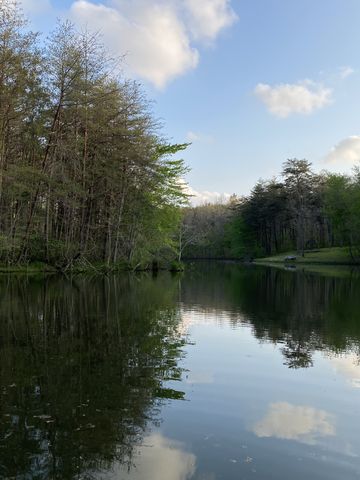 374 Eagle Lake Rd, Coalmont, TN 37313