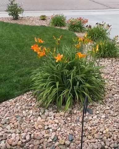 10853 Torreys Peak Way, Peyton, CO 80831