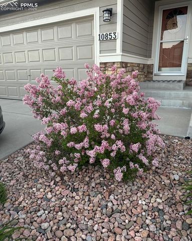 10853 Torreys Peak Way, Peyton, CO 80831