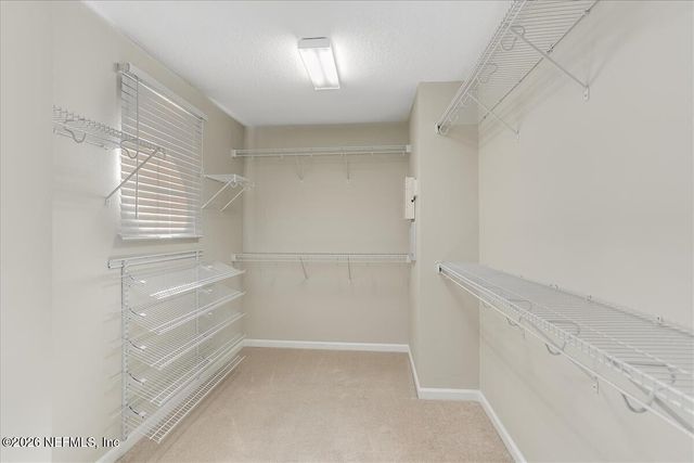 3670 CASITAS Drive, Jacksonville, FL 32224