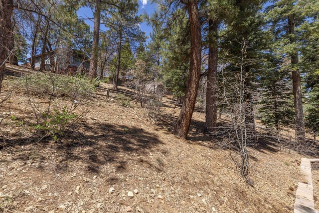 1639 Columbine, Big Bear City, CA 92314