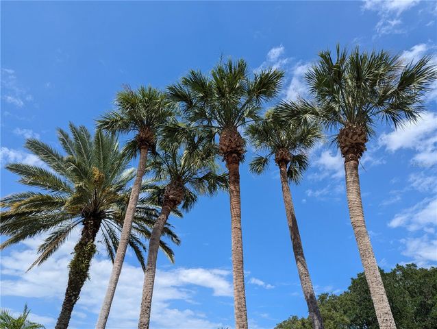 1964 LAKE ATRIUMS CIRCLE 162, Orlando, FL 32839