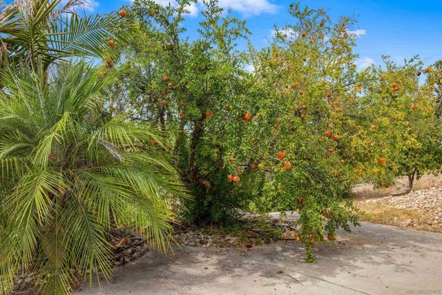 13320 Mapleview Street, Lakeside, CA 92040
