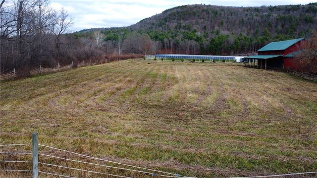 4480 Meads Creek Road, Campbell, NY 14870