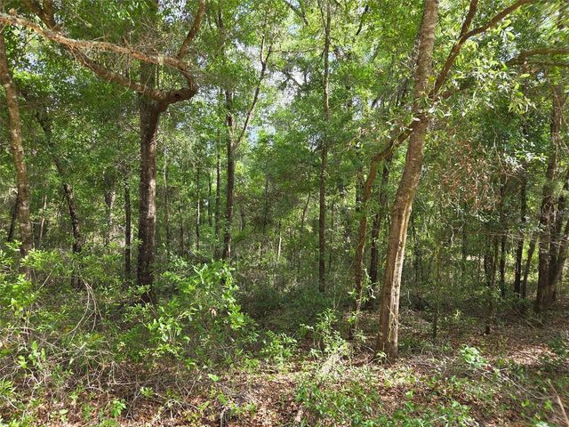 0000 NE 85TH STREET, Bronson, FL 32621