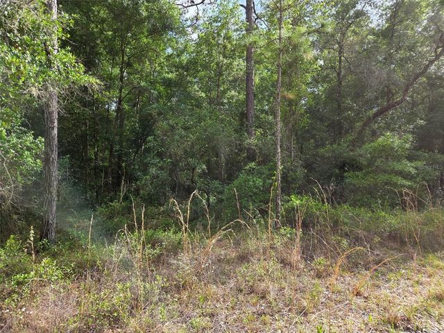 0000 NE 85TH STREET, Bronson, FL 32621