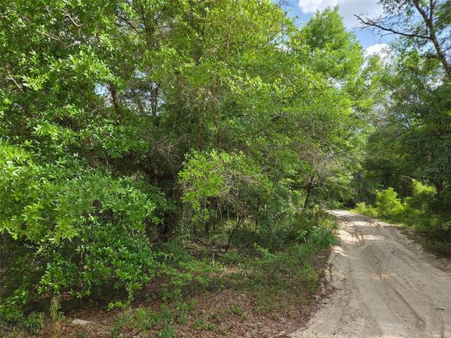 0000 NE 85TH STREET, Bronson, FL 32621