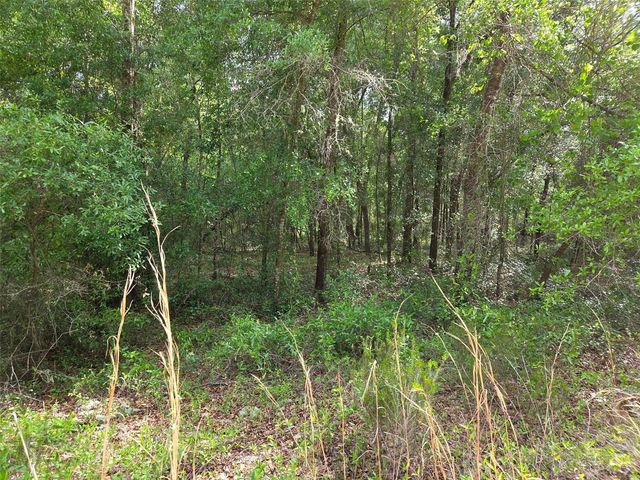 0000 NE 85TH STREET, Bronson, FL 32621