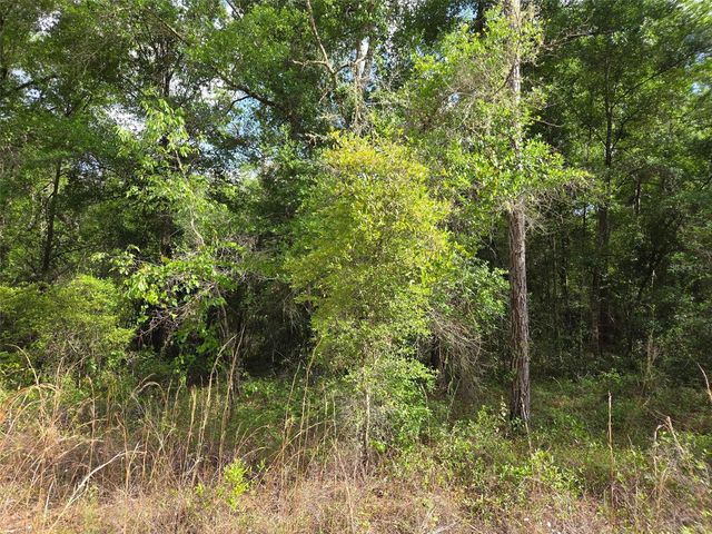 0000 NE 85TH STREET, Bronson, FL 32621