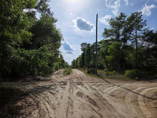 0000 NE 85TH STREET, Bronson, FL 32621