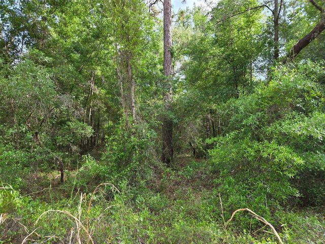 0000 NE 85TH STREET, Bronson, FL 32621