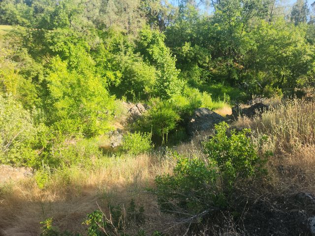 12910 Old Oregon Trail, Redding, CA 96003