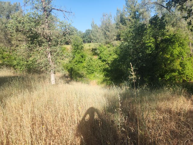 12910 Old Oregon Trail, Redding, CA 96003