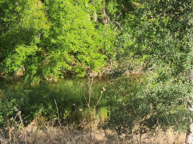 12910 Old Oregon Trail, Redding, CA 96003