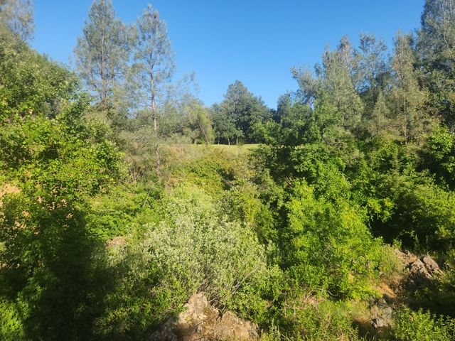 12910 Old Oregon Trail, Redding, CA 96003