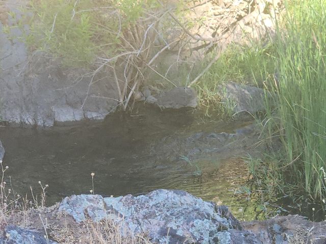 12910 Old Oregon Trail, Redding, CA 96003