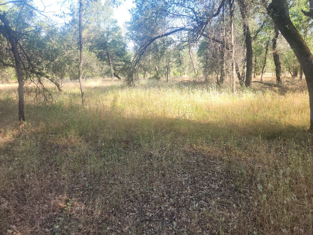 12910 Old Oregon Trail, Redding, CA 96003