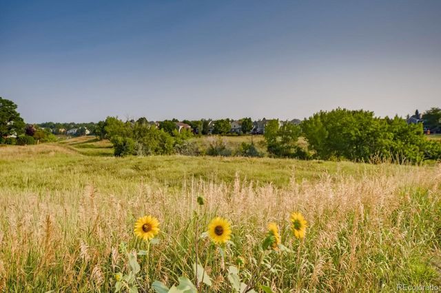 2225 Mountain Sage Drive, Highlands Ranch, CO 80126