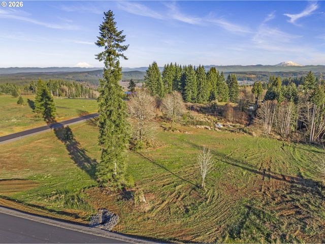 239 Suncrest Dr 2, Castle Rock, WA 98611