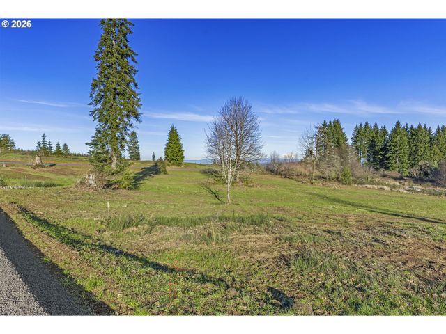 239 Suncrest Dr 2, Castle Rock, WA 98611