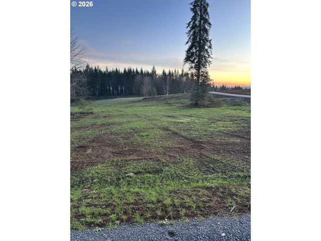239 Suncrest Dr 2, Castle Rock, WA 98611