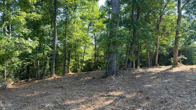 Lot 13 Rupert Drive, Dandridge, TN 37725