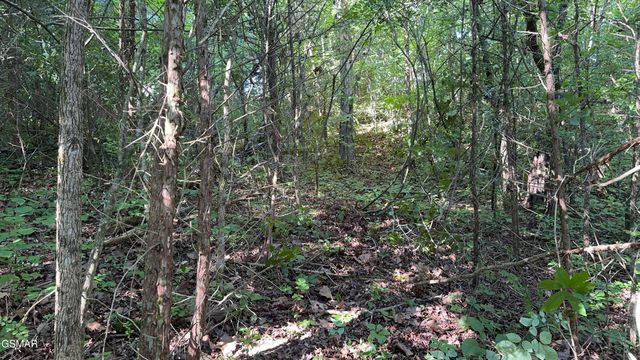 Lot 13 Rupert Drive, Dandridge, TN 37725