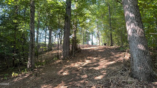 Lot 13 Rupert Drive, Dandridge, TN 37725