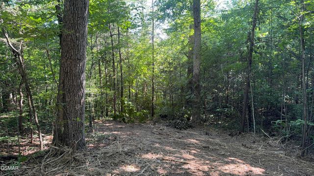 Lot 13 Rupert Drive, Dandridge, TN 37725