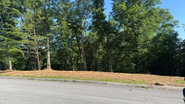 Lot 13 Rupert Drive, Dandridge, TN 37725