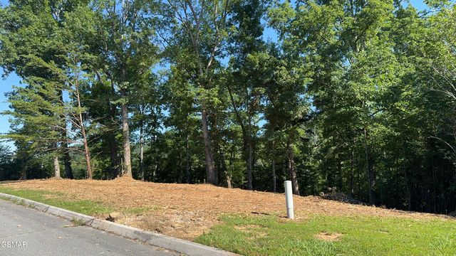 Lot 13 Rupert Drive, Dandridge, TN 37725