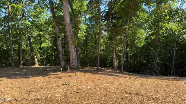 Lot 13 Rupert Drive, Dandridge, TN 37725