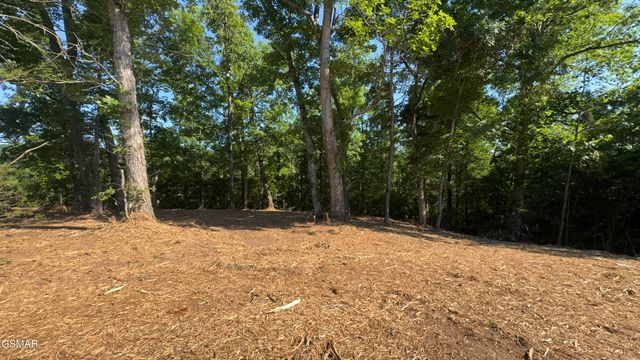 Lot 13 Rupert Drive, Dandridge, TN 37725