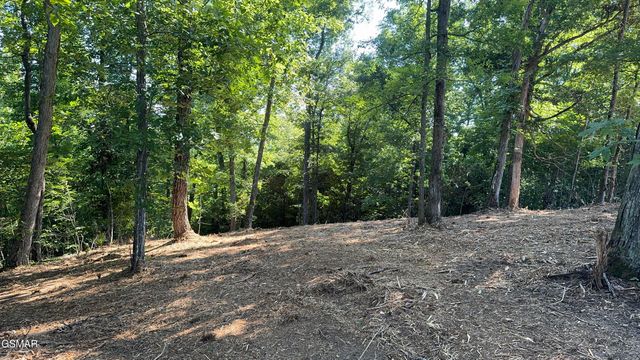 Lot 13 Rupert Drive, Dandridge, TN 37725