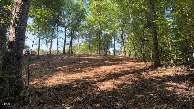 Lot 13 Rupert Drive, Dandridge, TN 37725