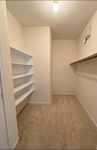9908 Climbing Tree Street, Conroe, TX 77385