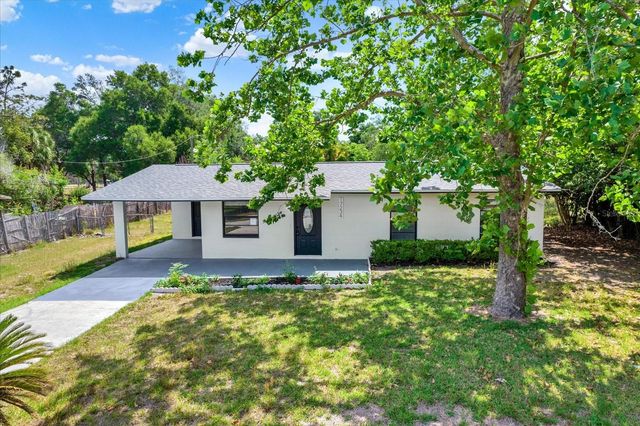 17234 ADELA STREET, Dade City, FL 33523