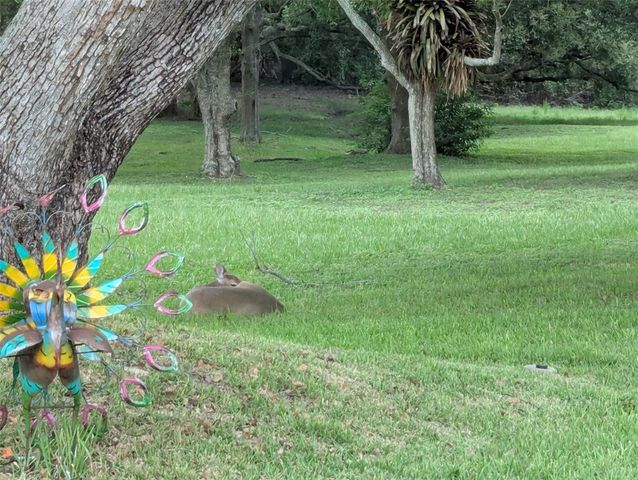 1223 TIMBERBROOKE DRIVE, Palm Harbor, FL 34684