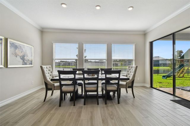 6111 MARSH TRAIL DRIVE, Odessa, FL 33556