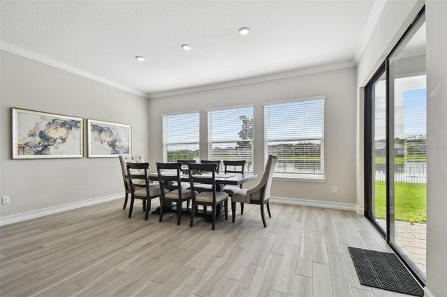 6111 MARSH TRAIL DRIVE, Odessa, FL 33556