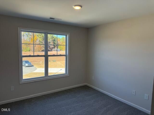 110 Mossy Bridge Court, Lillington, NC 27546