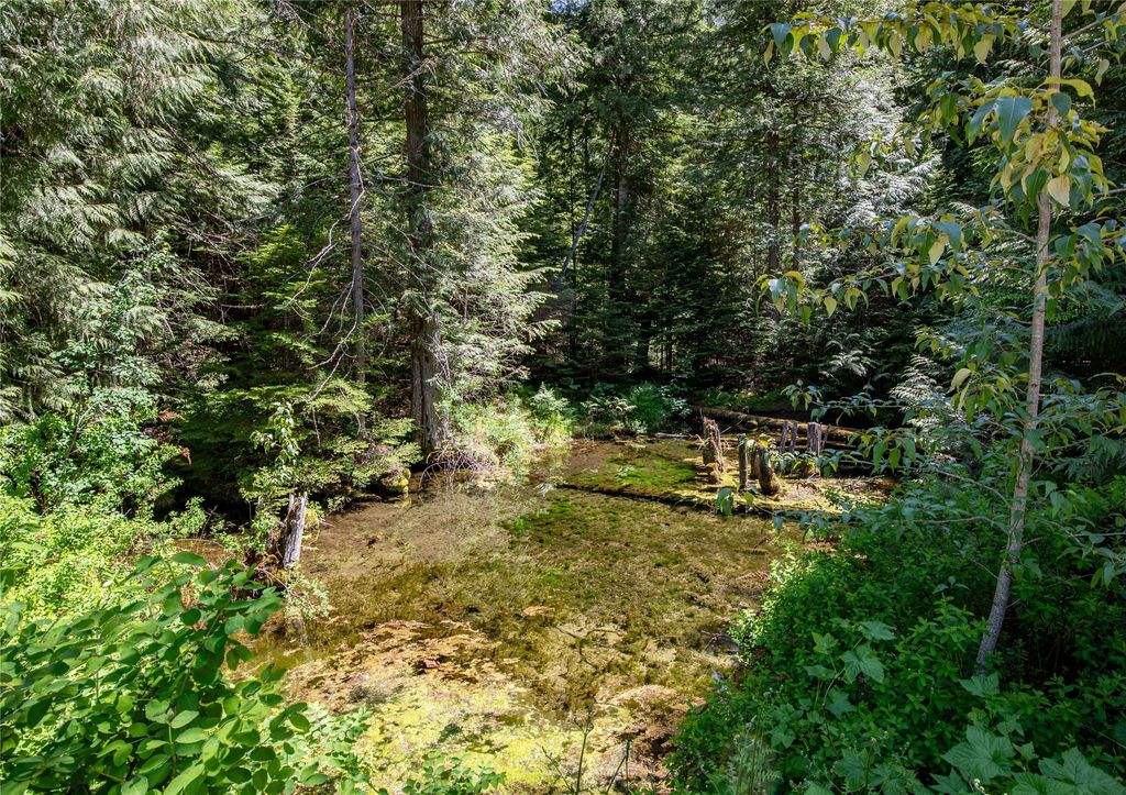 Image 74 of property listing at 189 Blue Creek Road, Heron, MT 59844