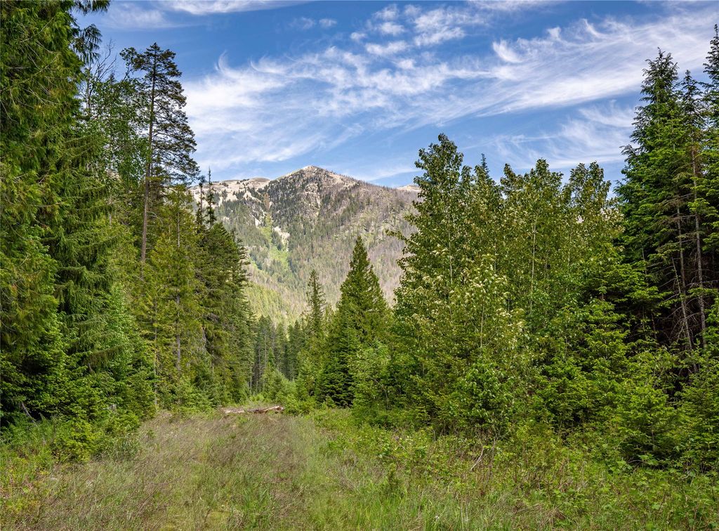 Image 76 of property listing at 189 Blue Creek Road, Heron, MT 59844