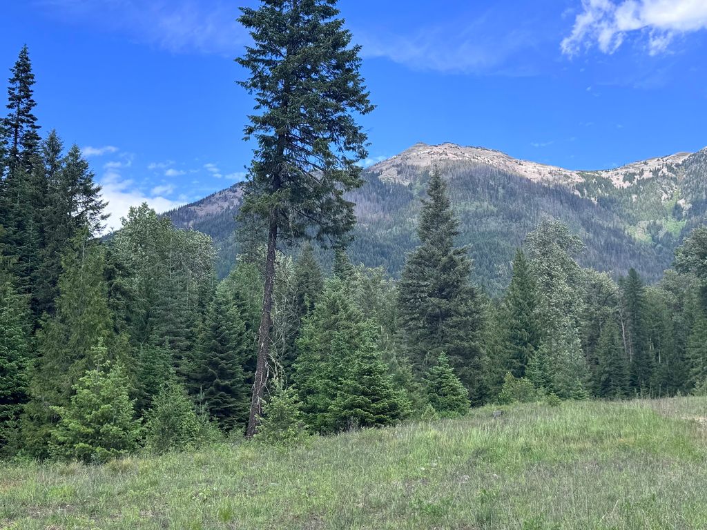 Image 81 of property listing at 189 Blue Creek Road, Heron, MT 59844